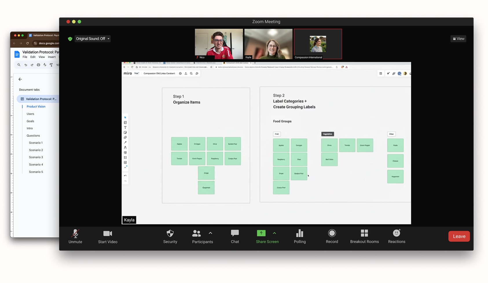 Image of fake user testing session on video call, with protocol.