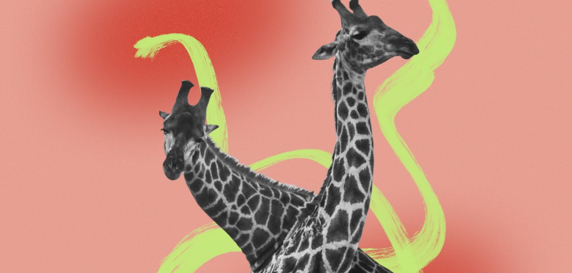 Paired Design: Iron Sharpens Iron
